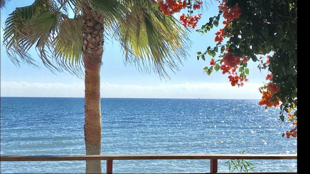 Mi Capricho Beachfront- 9f With Sea Views - Costa Del Sol Apartment